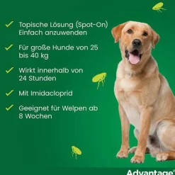 Advantage 400 für Hunde ab 25 kg, 1X4 St