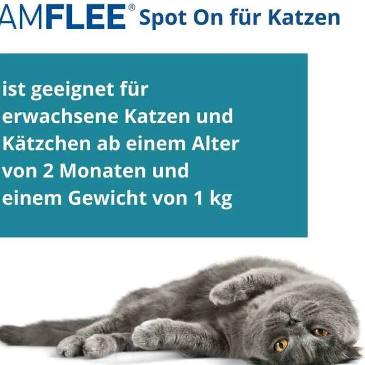 Amflee 50 mg Spot-On für Katzen, 3 St