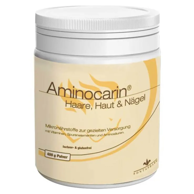 Aminocarin Pulver, 400 g