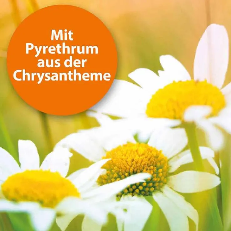 Ardap Spot-On für kleine Hunde bis 10 kg, 3 St