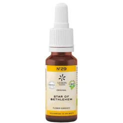 Bachblüte No.29 Star of Bethlehem Bio, 20 ml