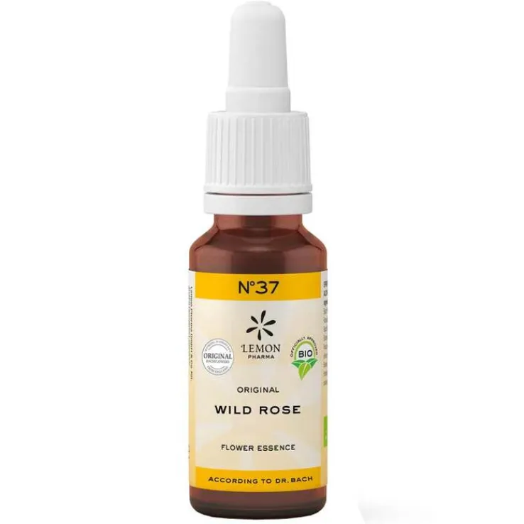 Bachblüte No.37 Wild Rose Bio, 20 ml