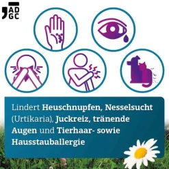 Bilastin ADGC 20 mg Tabletten bei Allergie, 6 St