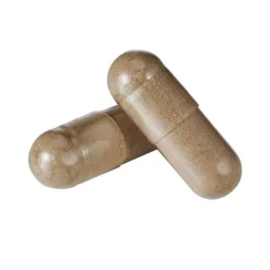 Bjökovit Nerven Formel vegan Kapseln, 60 St