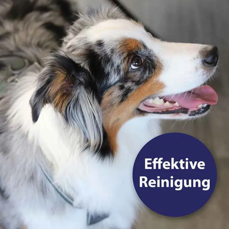 Canosept Zahnpflegespray für Hunde, 100 ml