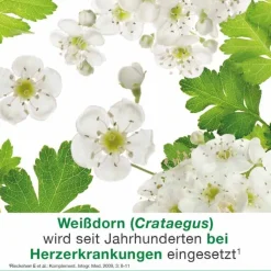 cratae-Loges 450 mg Weißdorn Filmtabletten, 50 St