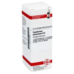 DHU Eupatorium purpureum D 6 Dilution, 20 ml