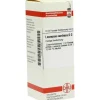 DHU Leonurus Cardiaca D 3 Dilution, 20 ml