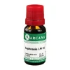 Euphrasia Arcana LM 6 Dilution, 10 ml
