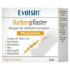 Evolsin Narbenpflaster 2,5cm x 200cm, 1 St