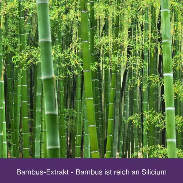 Flexiloges Knorpel aktiv Kapseln, 240 St