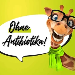 Flurbiprofen Dexcel 8,75 mg / Dosierspray Mundhöhle, 15 ml