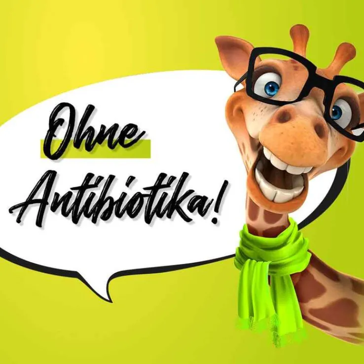 Flurbiprofen Dexcel 8,75 mg / Dosierspray Mundhöhle, 15 ml