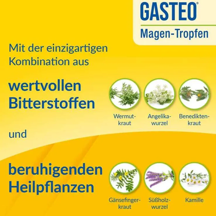 GASTEO Tropfen bei Magen-Darm-Beschwerden, 20 ml