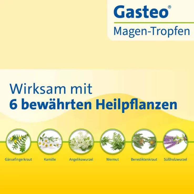GASTEO Tropfen bei Magen-Darm-Beschwerden, 20 ml