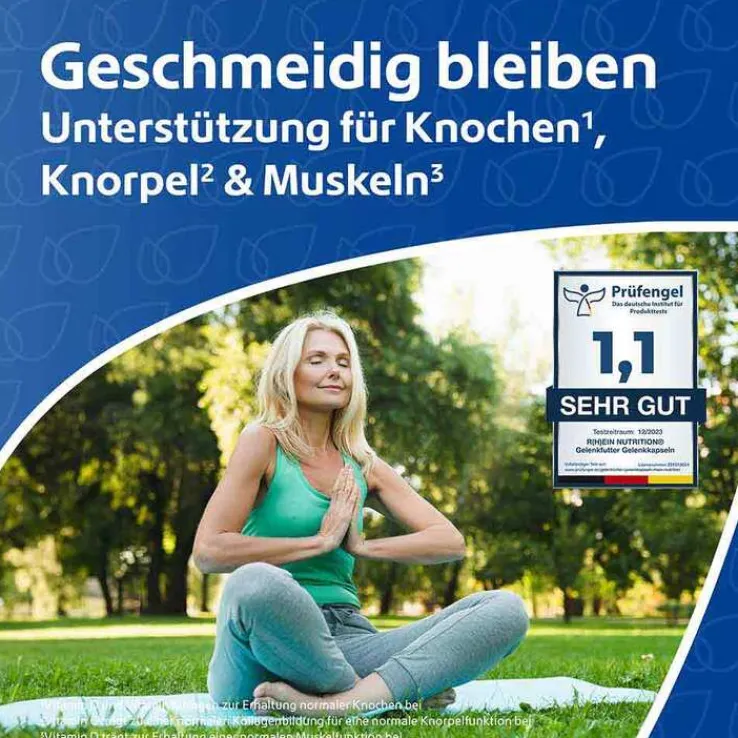 Gelenkfutter Gelenkkapseln, 240 St