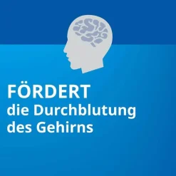 Ginkgo STADA® 80 mg Filmtabletten, 120 St