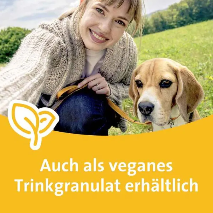 Grippostad C Hartkapseln bei Erkältung, 3x24 St