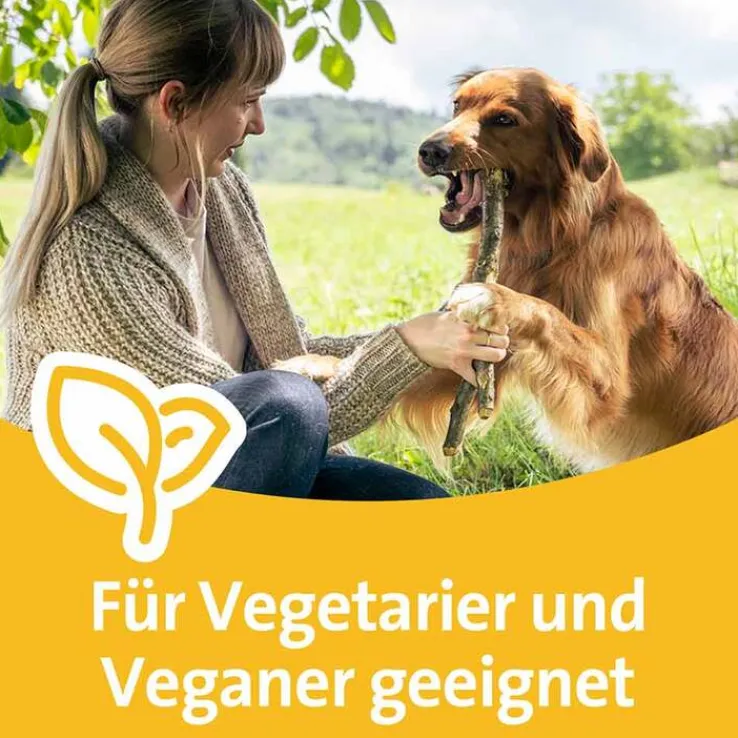 Grippostad C Stickpack bei Erkältung, 12 St