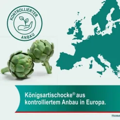 Hepar-SL® 320 mg Hartkapseln, 100 St