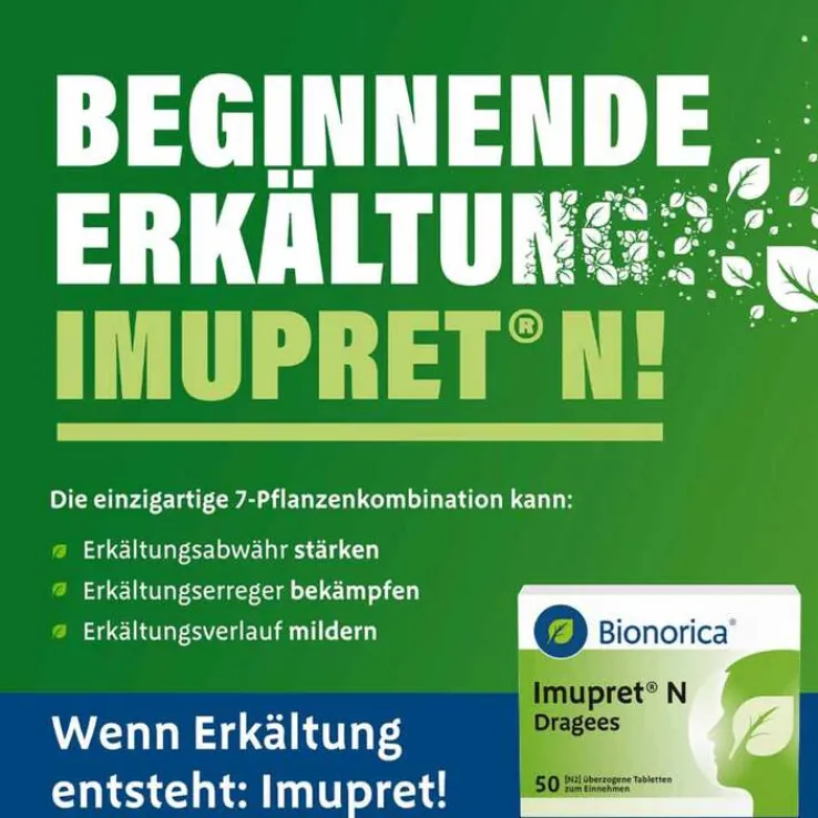 Imupret N Dragees, 100 St