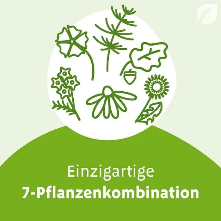 Imupret N Tropfen, 100 ml