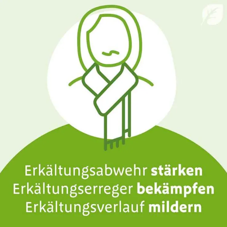 Imupret N Tropfen, 100 ml