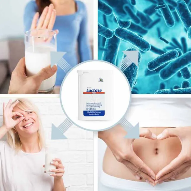 Lactase 7.000 FCC Tabletten im Spender, 80 St