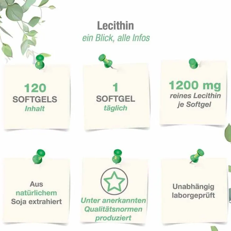 Lecithin 1200 mg Sojalecithin + Vitamin E vegan Weichk., 120 St