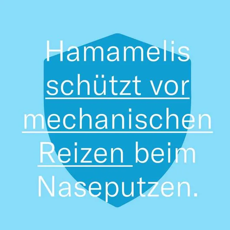 Leti balm Nase und Lippen, 10 ml