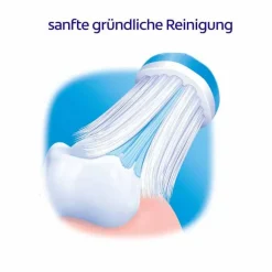 Meridol Zahnbürste mittel, 1 St