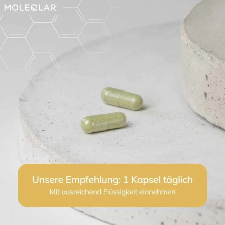 Moleqlar Longevity Spermidin pro Kapseln, 60 St