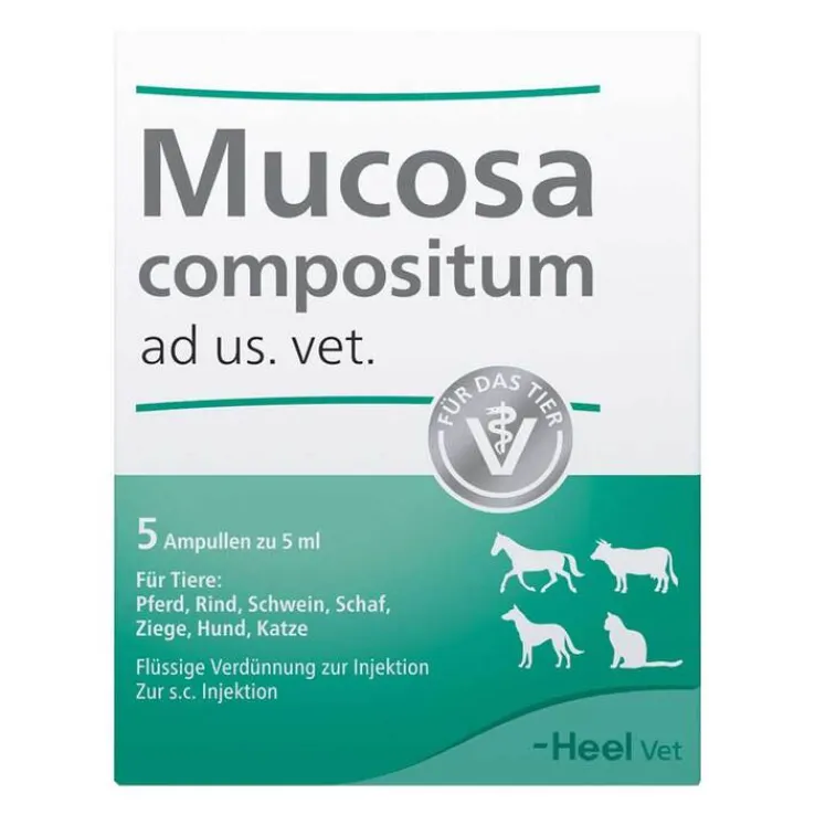 Mucosa Compositum Ampullen vet. (für Tiere), 5X5 ml