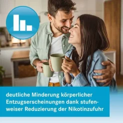 nikofrenon 21 mg/24 Stunden Pflaster, 14 St