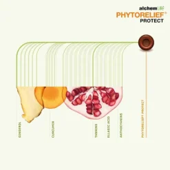 Phytorelief Protect Lutschpastillen, 12 St