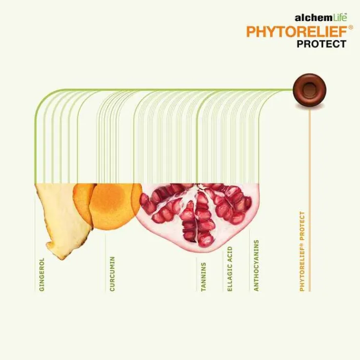 Phytorelief Protect Lutschpastillen, 12 St