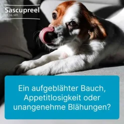 Sascupreel ad us. vet. Tabletten, 500 St