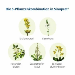 Sinupret® überzogene Tabletten, 100 St
