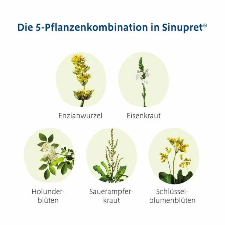 Sinupret® überzogene Tabletten, 100 St