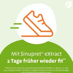 Sinupret eXtract Tabletten, 40 St