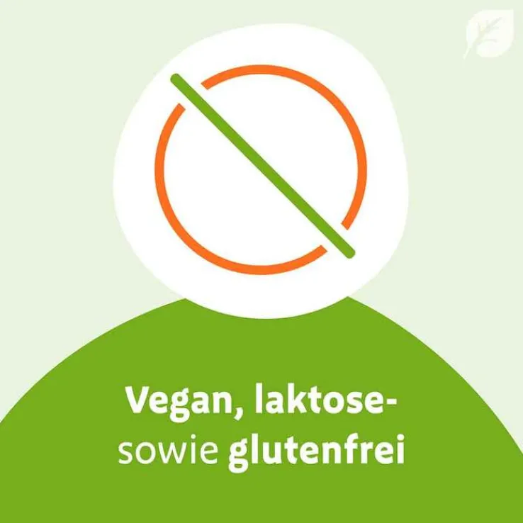 Sinupret eXtract Tabletten, 40 St