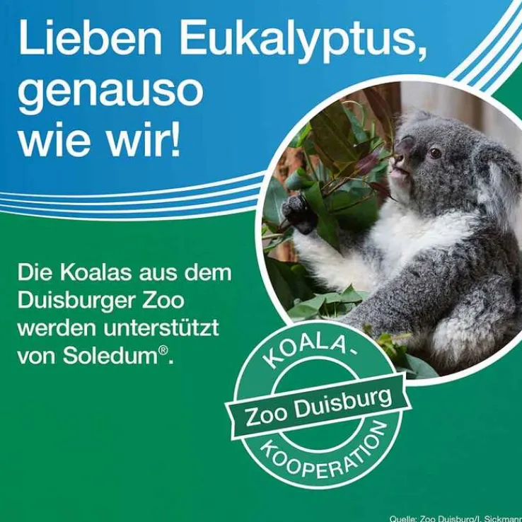 Soledum Kapseln forte, 50 St