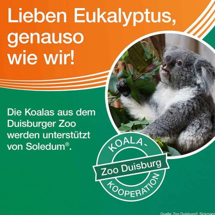 Soledum Kapseln junior, 20 St