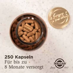 Solgar Ester-C Plus 500 mg Kapseln, 250 St
