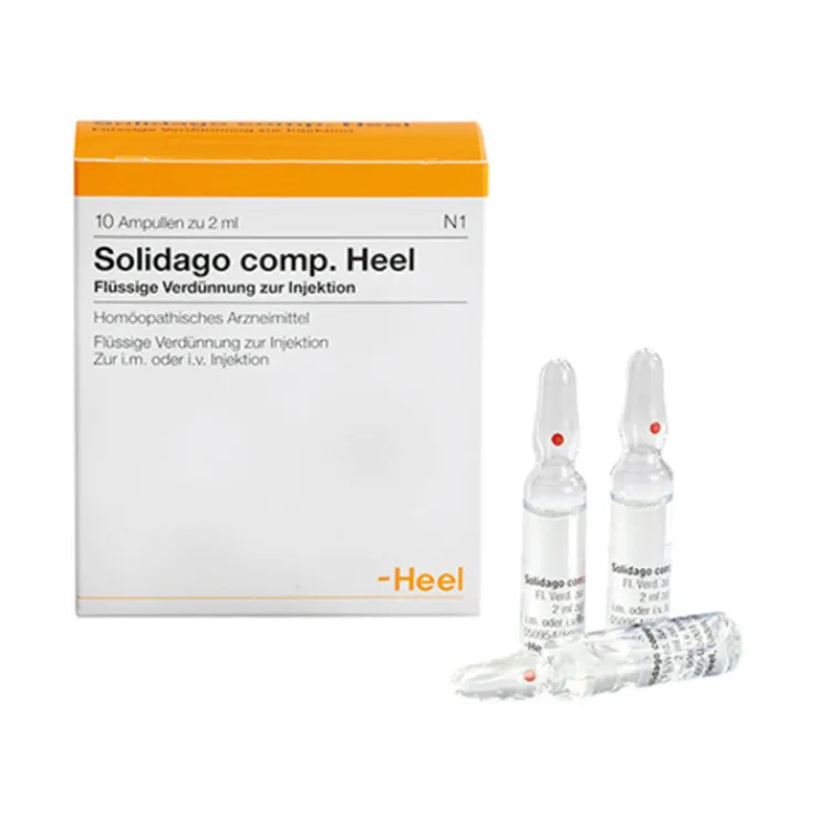 Solidago comp. Heel Ampullen, 10 St