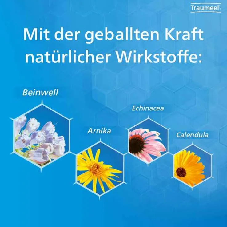 Traumeel® S Creme und Tabletten, 1 St