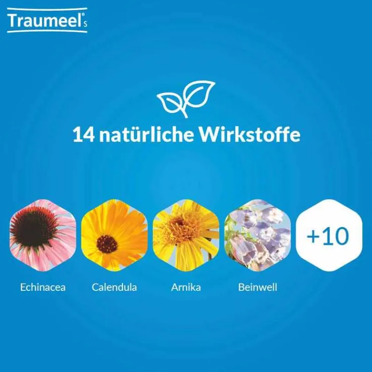 Traumeel® S Mischung, 30 ml