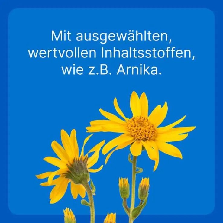 Traumeel T ad us. vet. Tabletten für Hund und Katze, 250 St