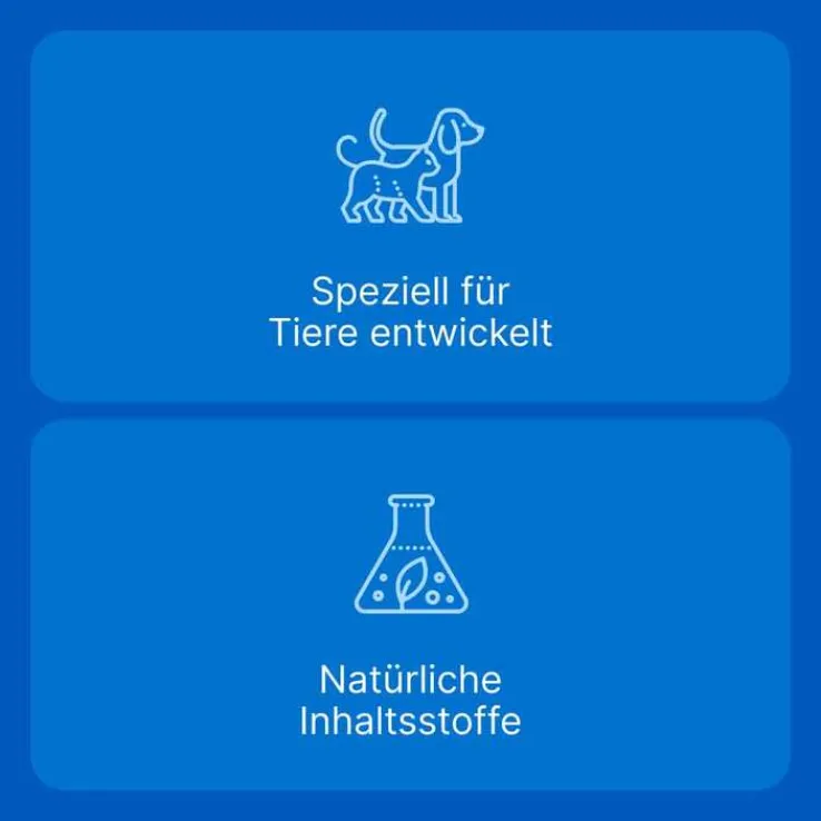 Traumeel T ad us. vet. Tabletten für Hund und Katze, 250 St