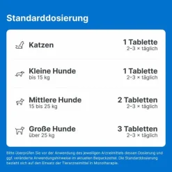 Traumeel T ad us. vet. Tabletten für Hund und Katze, 250 St